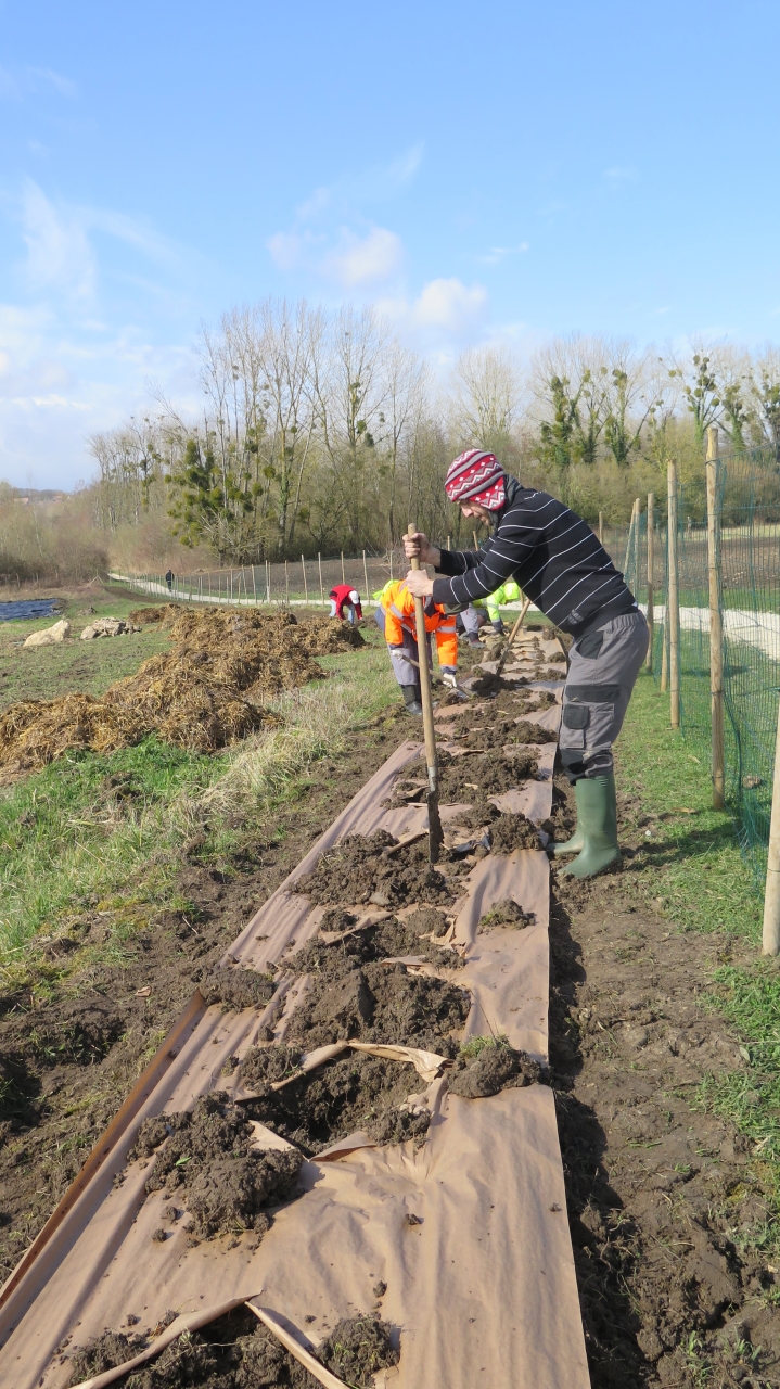 2020 9 mars St Faron(c)GP (258)